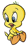 Baby Tweety