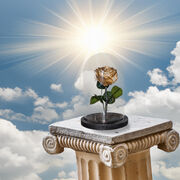 The eternal rose (2)
