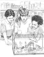 Bobby, Karen, and Sara look at mice in a cage in Pet Time