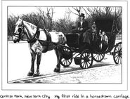 Stacey's carriage ride in Central Park for her fourth birthday