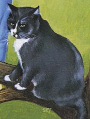 Boo-Boo the cat from LS3