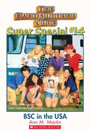 Super Special 14 Baby-Sitters Club in the USA ebook cover