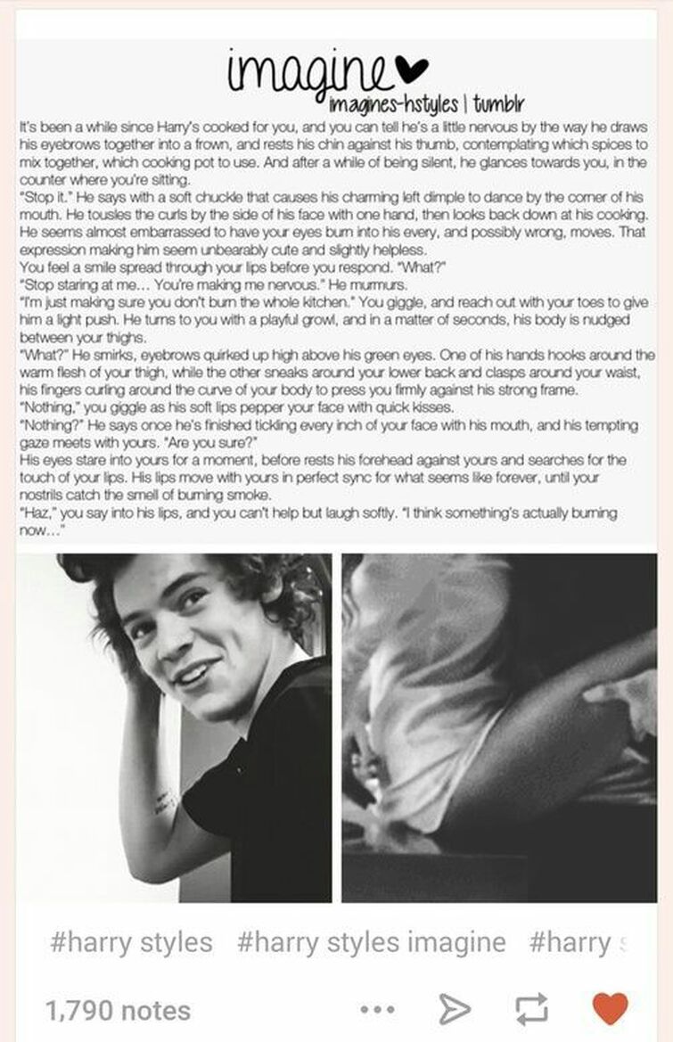 harry styles imagines tumblr fight