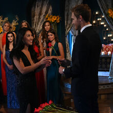 Jasmine Nguyen Bachelor Nation Wiki Fandom