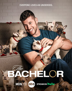 The bachelor australia season 3 episode 1 new arrivals