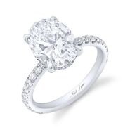 The ring Charity Lawson got from Dotun Olubeko on the 20th season of The Bachelorette. The couple is still engaged.