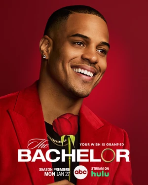 Bachelor29Poster
