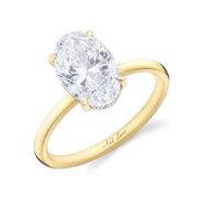 Gabby's Ring A custom ring with an 18k handcrafted gold band centrally set with an oval-cut diamond supported by a hidden halo of 22 smaller round diamonds and further accented by eight small yellow diamonds with an overall approximate weight of 3.25 carats by Neil Lane.