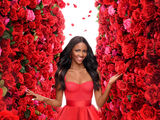 The Bachelorette (Season 20)