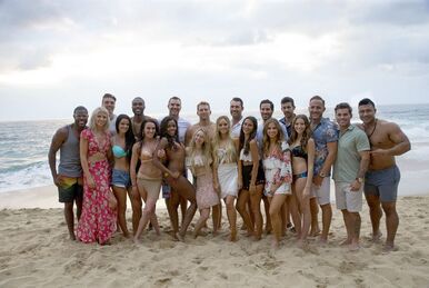 Bachelor in Paradise Season 6 Bachelor Nation Wiki Fandom
