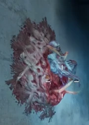 Sleeper slighty moving its arm when disturbed by Cleaners.