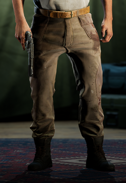 Skin Jim Legs Earthy.png