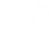 Emblem BirdOfPrey