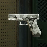 Winter Soldier How to unlock: Randomly acquired via Duffel Bags