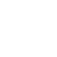 Skatez