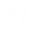 Emblem NorthStar