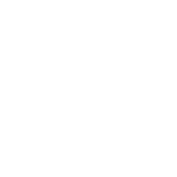 Emblem Healer.png