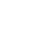 Emblem Skullflake