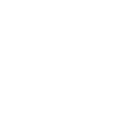 Emblem Skullflake