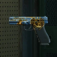 Natural Leader How to unlock: Randomly acquired via Duffel Bags