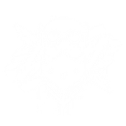 Emblem Bandit.png