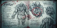 Promotional material featuring lore text of the Retch.