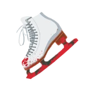 Spray Ice'NDice