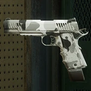 Winter Soldier How to unlock: Randomly acquired via Duffel Bags