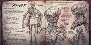 Promo Stalker Lore.jpg (1.01 MB) Promotional material featuring lore text of the Stalker.
