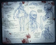 Promotional material featuring lore text of the Stinger.