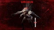 Urchin