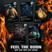 Promotional material featuring the first batch of Burn Cards