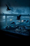 CCardArt01 TheBirds