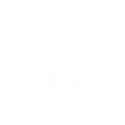Emblem Roar.png