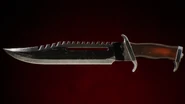 Hoffman's Bowie knife