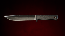 Knife Evangelo.png