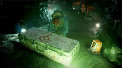 Walker is about to open a Warped Chest.