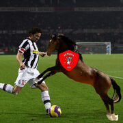 Delpiero-horse