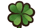 Lucky Clover