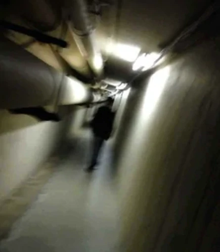 Level 2
