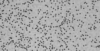 Level 360 | Backrooms Freewriting Wiki | Fandom