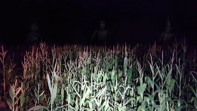 Workshop služby Steam::Backrooms Level 10 - The Field of Wheat