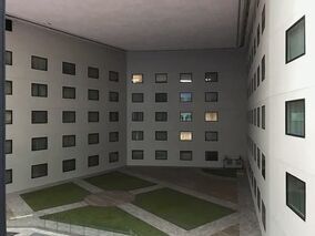 Level 188 Of The Backrooms - The Courtyard of Windows 