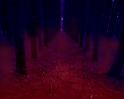 Project : Backrooms on X: -[PROJECT : BACKROOMS - LEVEL 14 TEASER]- -[The  Paradise is filled with nature and rhymes. Leave the forest before the  clock hits 9.]- -[#Roblox #RobloxDev #Backrooms]-   / X