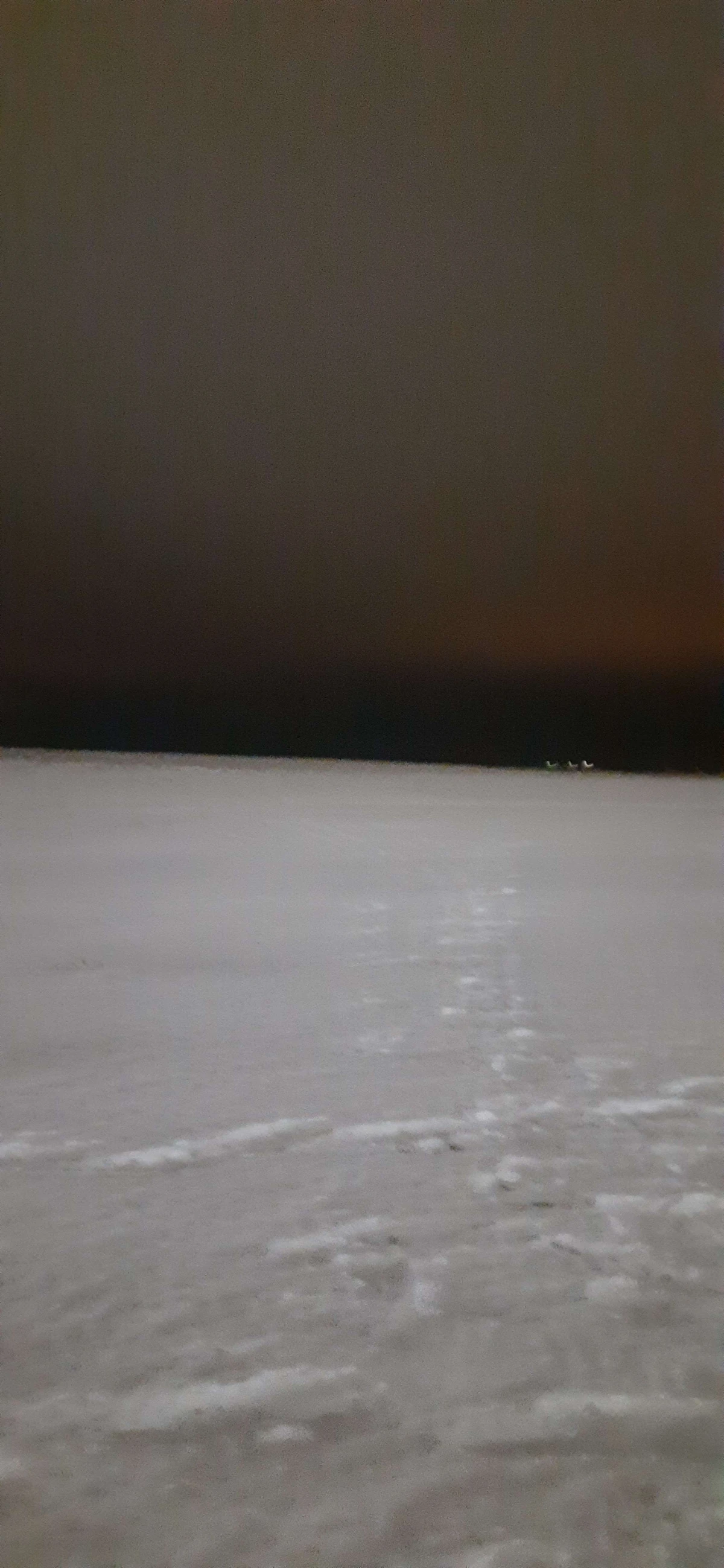 Level 136 Backrooms Freewriting Wiki Fandom