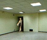 Entities