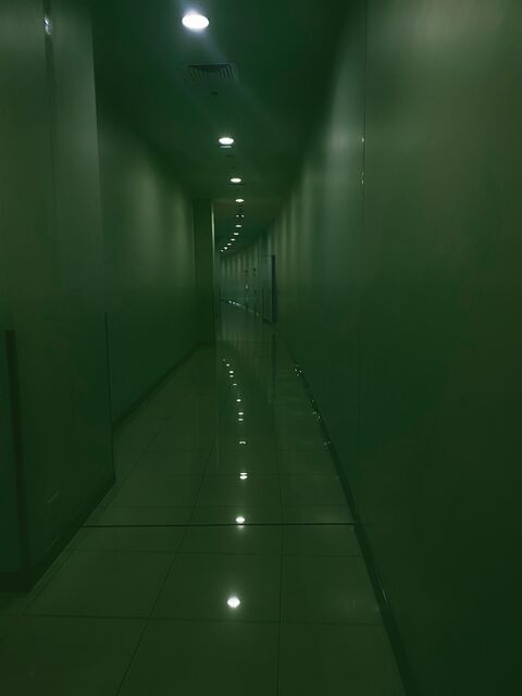 Level 974: Corridors, corridors, corridors
