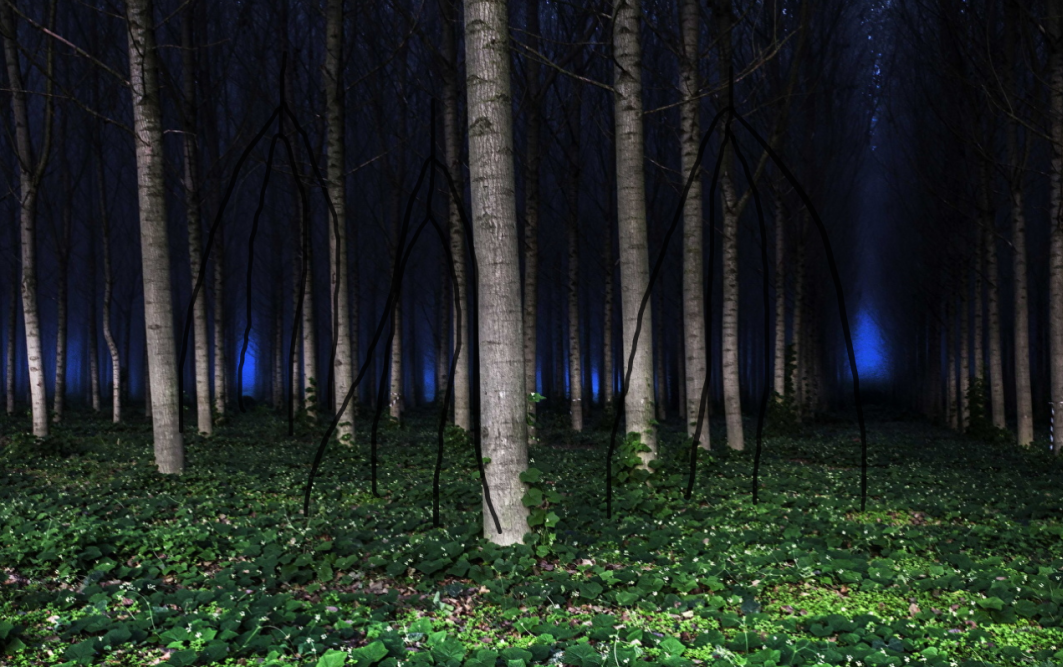 Would you hike This Backrooms forest? #backrooms #backroomsentities #v