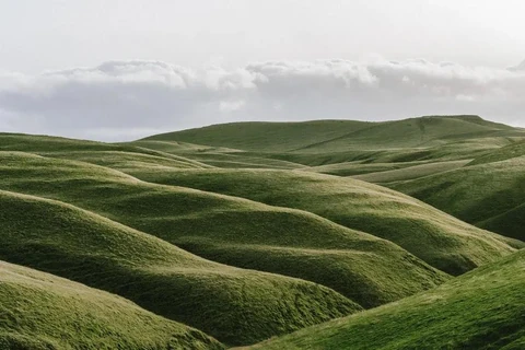 Backrooms Liminal Cannon Wiki