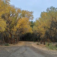 T041e36940785dd03bd.jpg (49 KB) T041e36940785dd03bd.jpg由Come where上传于2025年11月09日 04:08